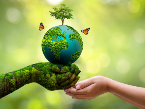 Concept Save the world save environment The world is in the grass of the green bokeh background